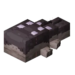 Clodsire
