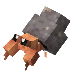 Dwebble - bug/rock type Pokémon (#557)