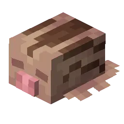 Swinub - ice/ground type Pokémon (#220)