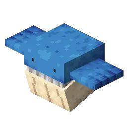 Wailmer - water type Pokémon (#320)