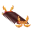 Centiskorch