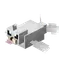 Seel